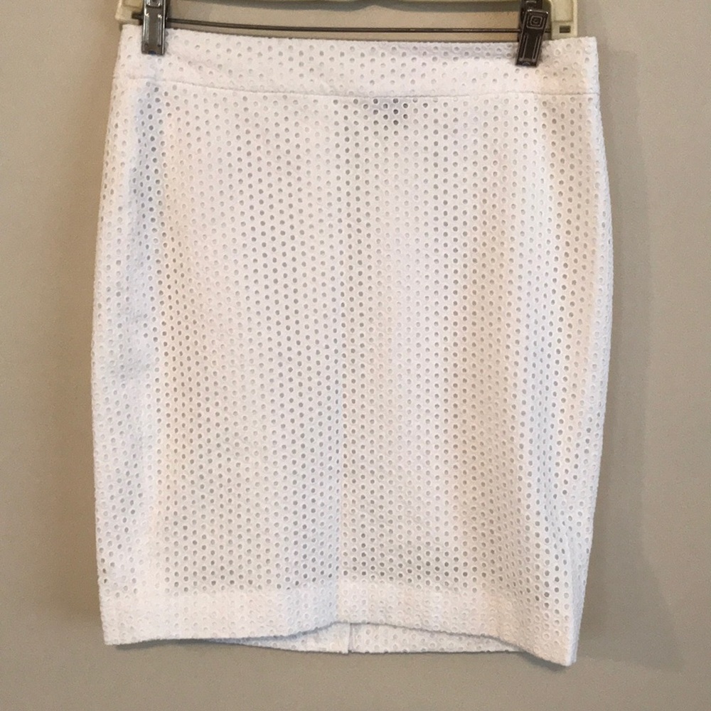 Ann Taylor Skirt